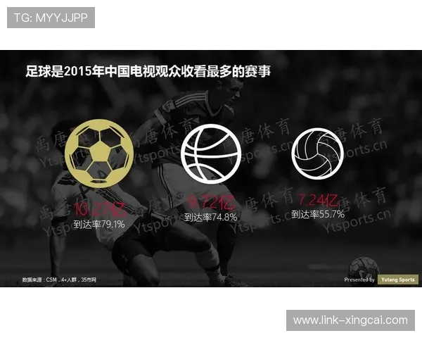 全面解读本赛季重要体育赛事胜负走势与关键数据分析